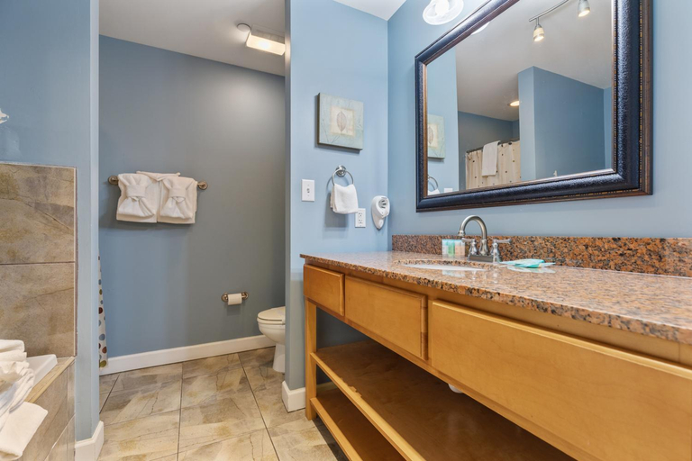 Bathroom 3, Pigeon River View Condos, Sevier