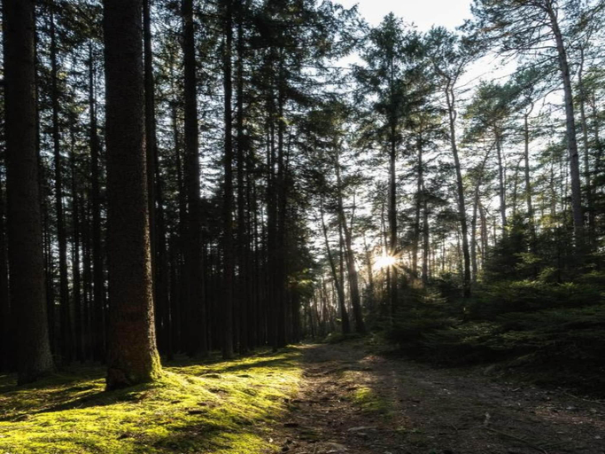 Others 2, Wohnung in Burggrub mit Sauna und Garten, Kronach