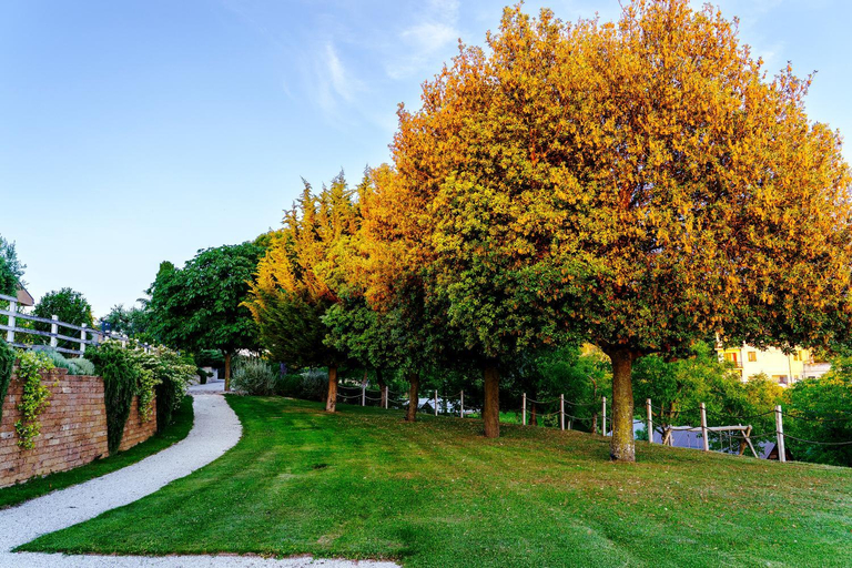 Others 4, Resort Orizzonti Glamping, Fermo