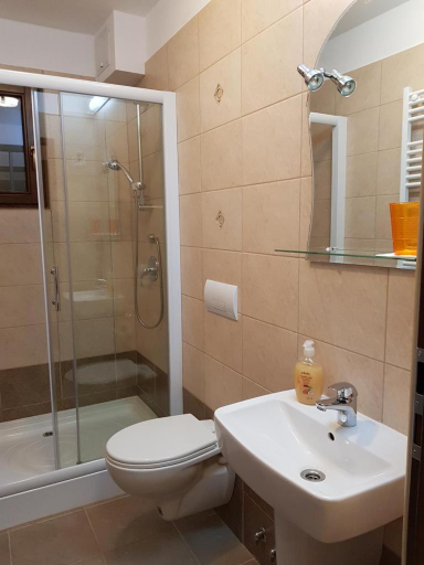 Bathroom 3, Pensiunea Carmena, Sanmartin