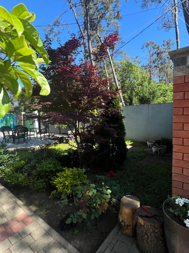 Others 3, Green House, Ozurgeti