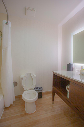 Bathroom 3, Holiday Inn & Suites Houston North Spring By IHG, Montgomery