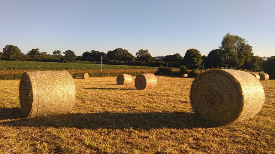 Others 4, Le Douitel, Manche