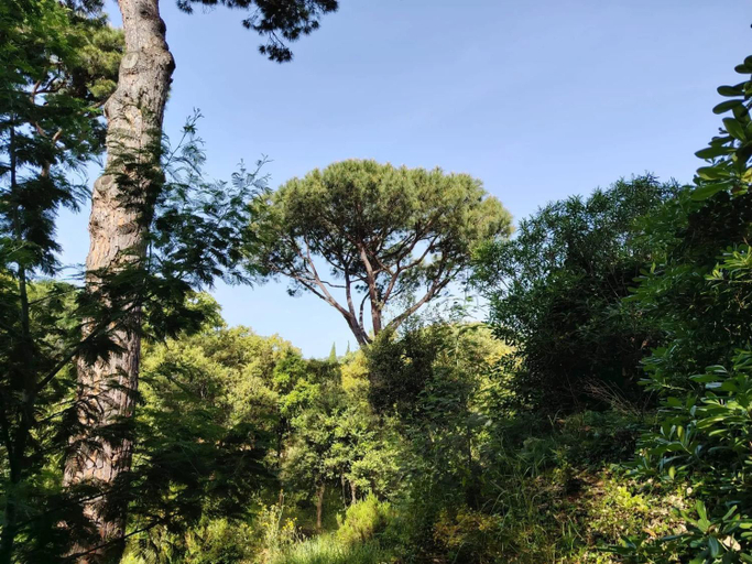 Garden 3, Villa accueillante avec piscine a La Croix-Valmer, Var