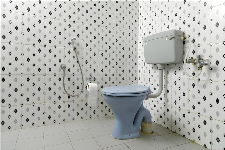 Bathroom 3, AquaLillies Water Front Heritage Homestay, Kottayam