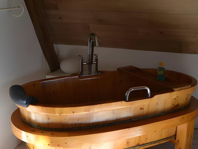 Bathroom 5, Manoir de Belle-Noe, Ille-et-Vilaine