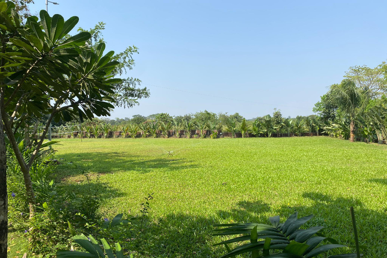 Others 5, Pegasus Lifestyle Resort, Raigarh