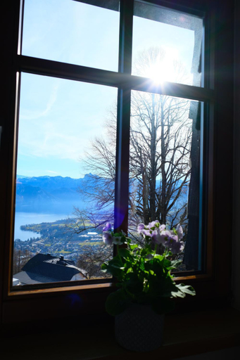 Others 5, Gmundnerberghaus - ROOMS, Gmunden