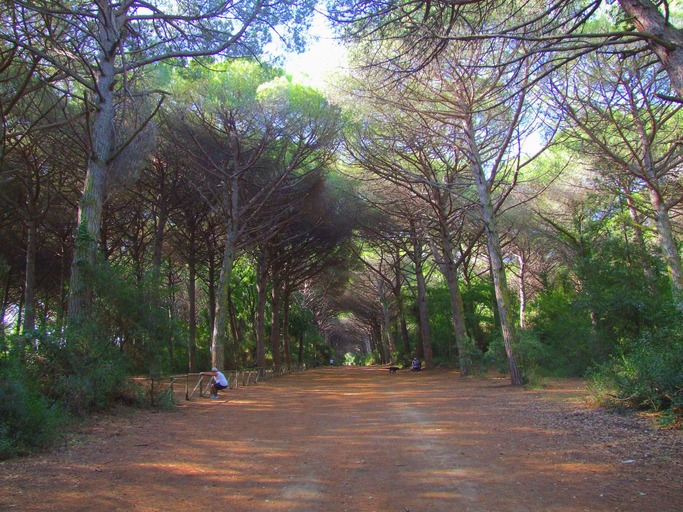 Others 5, Holiday Home by Marina Beach Tuscany, Livorno