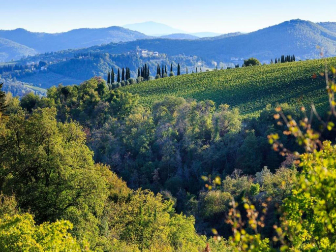 Others 5, Serene Chianti Retreat, Arezzo