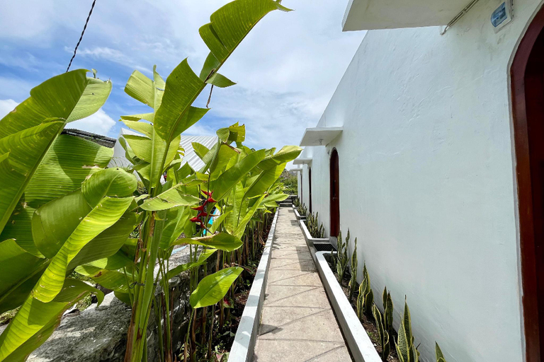 Exterior view 5, Batur Sunsun Kintamani By Zuzu, Bangli