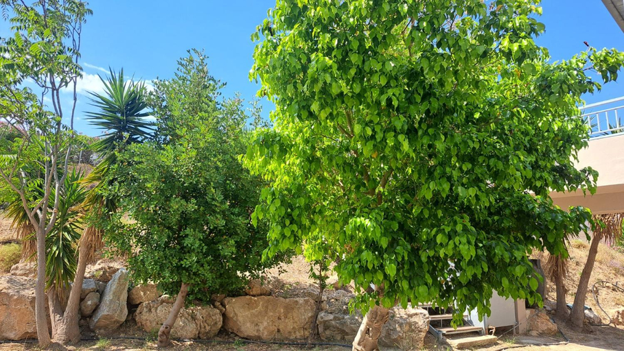 Exterior & Views 2, Hercules Hills Sea View Villas, South Aegean