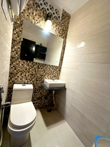 Bathroom 3, Peace Point Hotel, Delhi