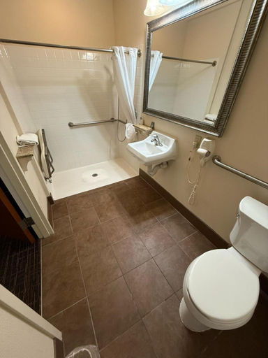 Bathroom 3, Richland Inn & Suites, Richland