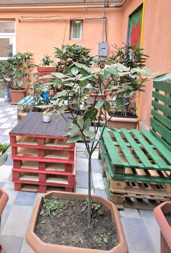 Others 3, Marjani Terrace Rooms, Tbilisi