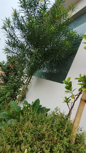 Others 5, Atithi Home stay, Faizabad