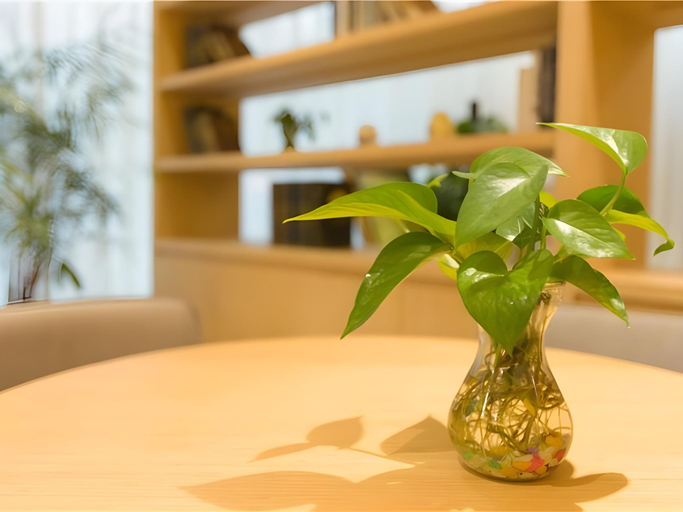 Food & Drinks 5, Deep Sleep Hotel Xuzhou High-Speed Railway Station Zhenxing Avenue, Xuzhou