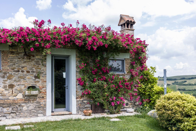 Exterior & Views 2, Villa Agavì, Modena
