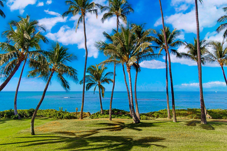 Others 5, Hale Kai O Kihei, Maui