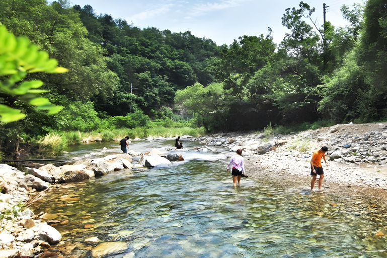 Others 3, Flower field Pension, Gapyeong