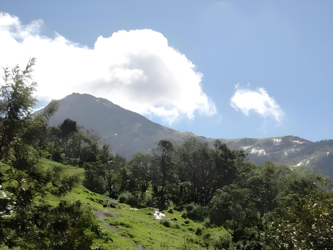 Others 5, Eagle Mountain Resort Munnar, Idukki