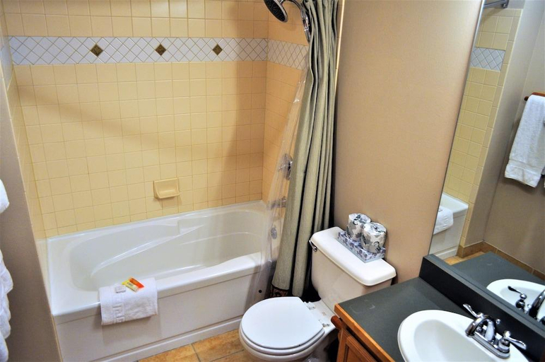 Bathroom 3, Arapahoe Lodge 1 Bed 1 Bath B, Summit