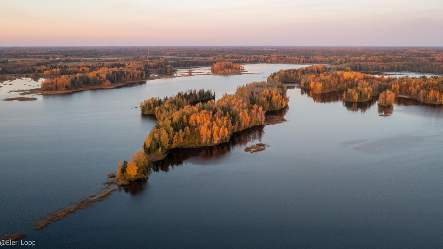 Others 5, Paunkula Nature Resort (forest villa), Kõue