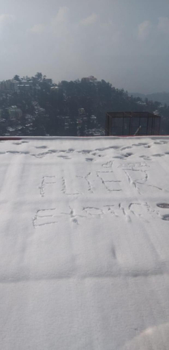 View 2, Flyer Exotica, Shimla