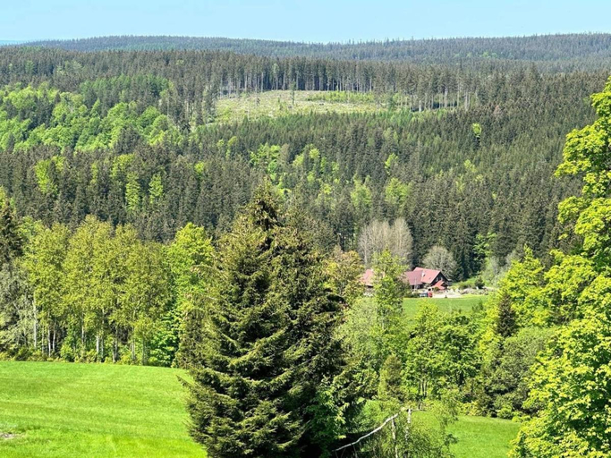 Others 5, Pensjonat Lesniczowka Zieleniec, Kłodzko