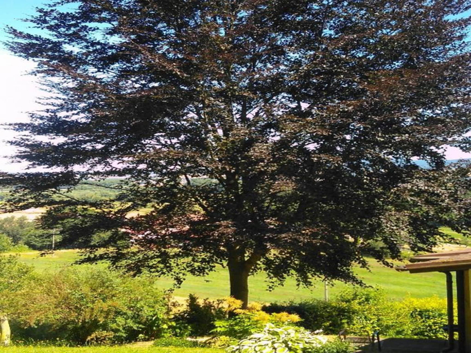 Others 4, Charmantes Ferienhaus mit Naturgarten, Schmalkalden-Meiningen