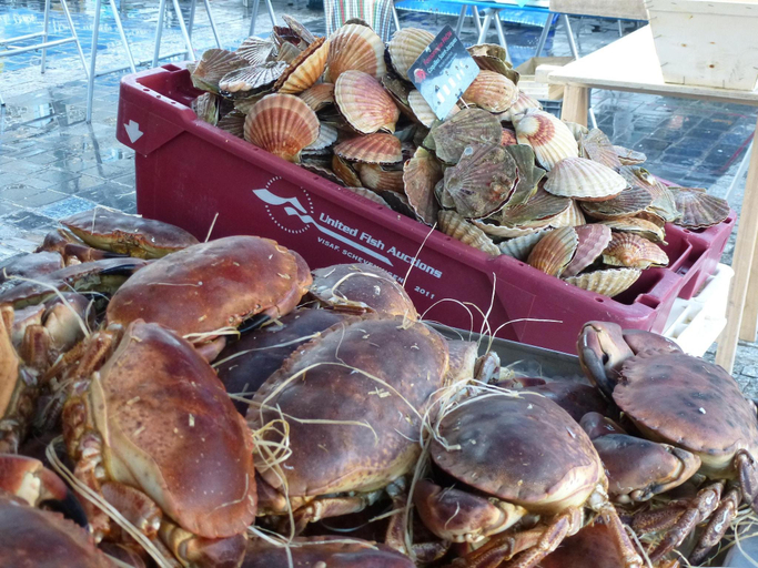 Food & Drinks 4, Country House near Binic Beaches, Côtes-d'Armor