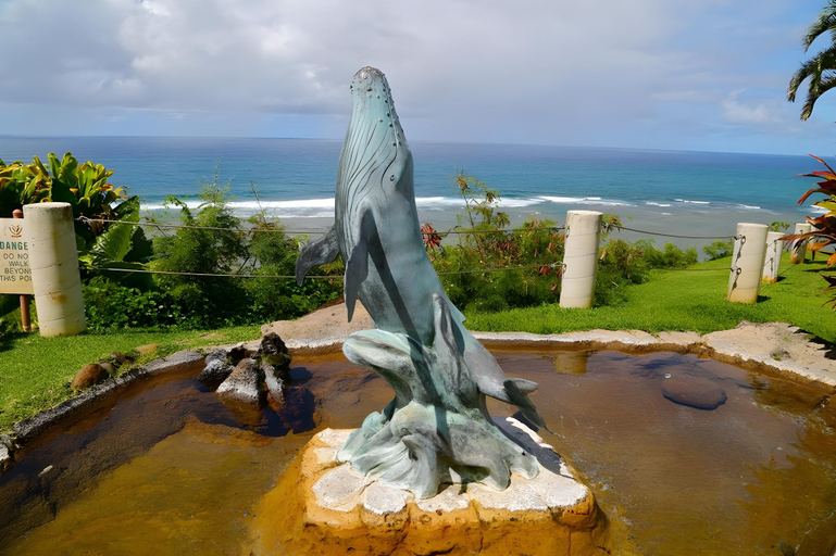 Others 5, Wyndham Shearwater Hotel, Kauai