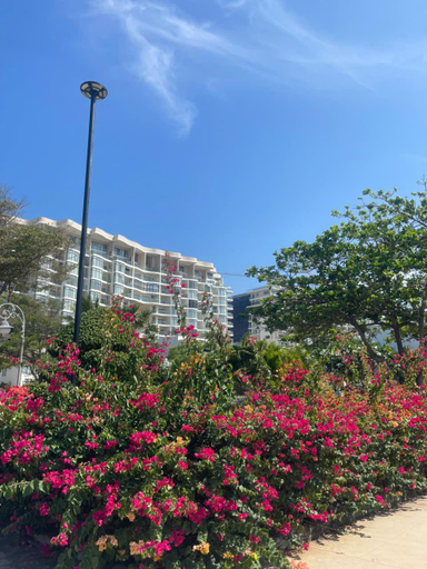Others 5, ARIA Vung Tau Resort (Căn 2 phòng ngủ view biển), Vũng Tàu
