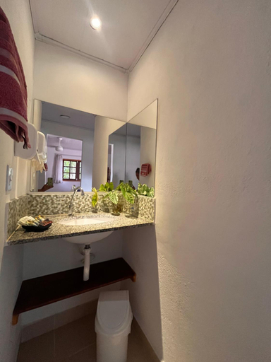 Bathroom 3, Fauna, Angra dos Reis
