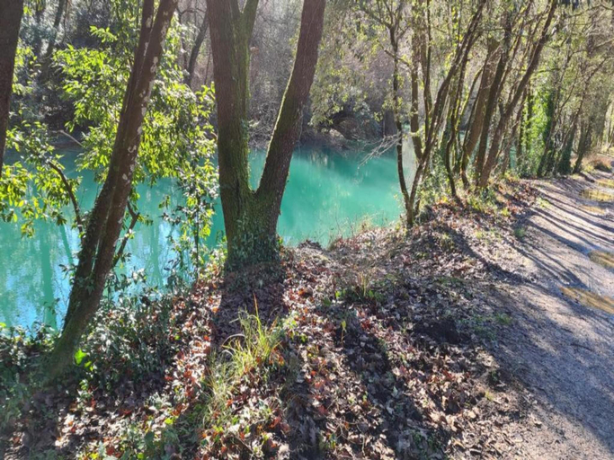 Others 3, Apartment in Montauroux by Lake Cassien, Var