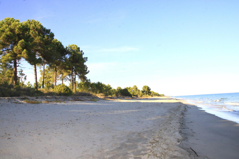 Others 5, Apartment 6 people 150 m from the beach, Haute-Corse