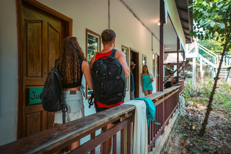 Others 5, Nest Jungle, Sihanoukville