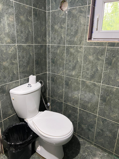 Bathroom 5, Lakhushdi Guesthouse, Mestia