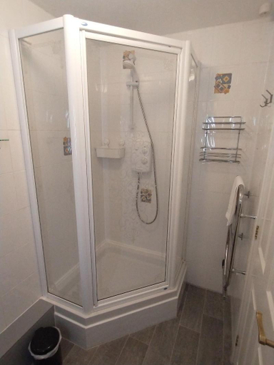 Bathroom, Plas Tan y Graig B&B Guest House Beddgelert, Gwynedd