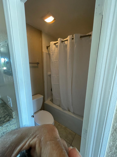 Bathroom 3, Royal Inn, Suwannee