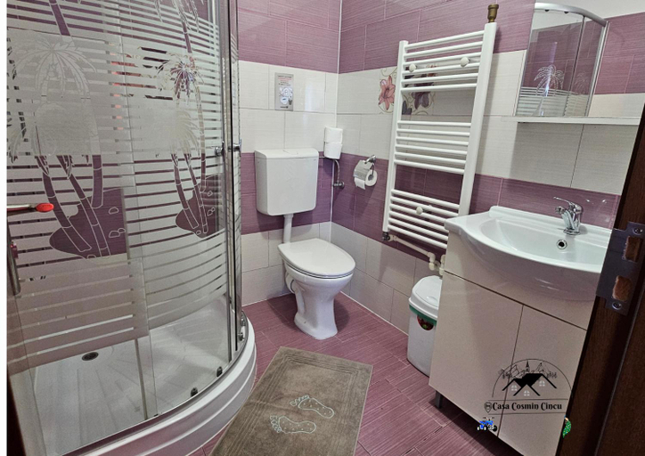Bathroom 3, Casa Cosmin Cincu, Cincu