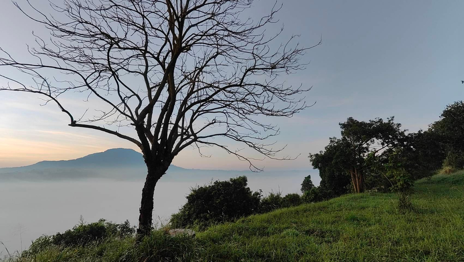 Others 5, Carino Khao Kho, Khao Kho