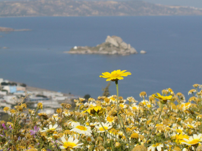 Exterior view 4, Eleni Studios, South Aegean