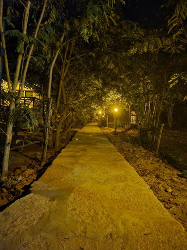 Others 5, Songbird Safari Lodge and Campsite, Bunyaruguru