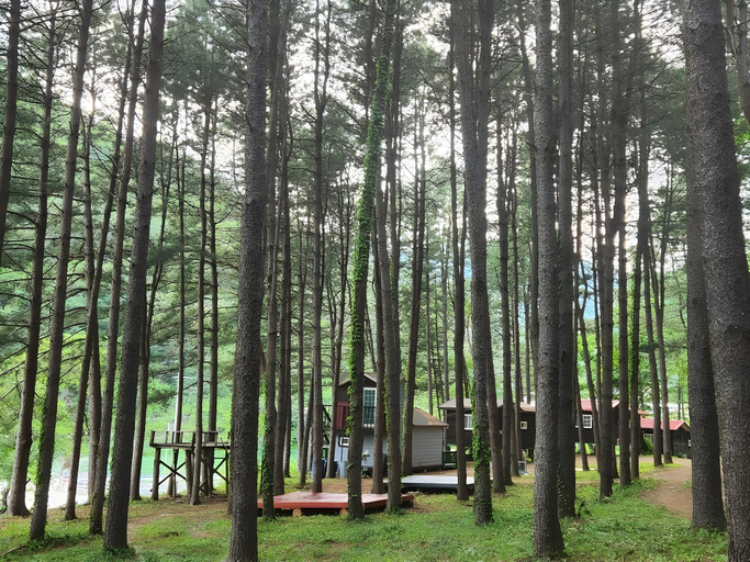 Others 4, Gongjak Mountain Recreational Forest Pension, Hongcheon
