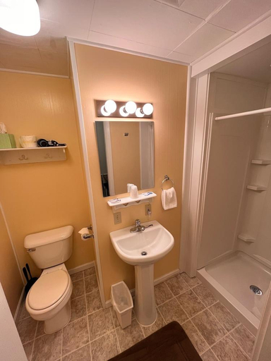 Bathroom 3, Honor Motel, Benzie