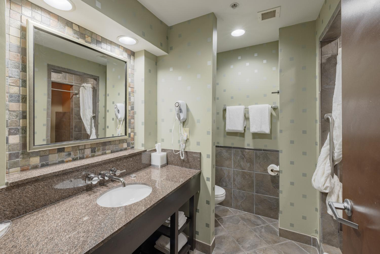 Bathroom 4, Comfort Suites Perrysburg - Toledo South, Wood