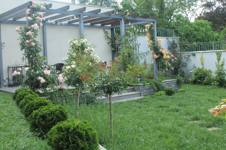 Others 3, Family Hotel Stumari, Tbilisi
