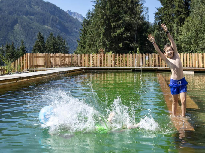 Sport & Beauty 2, Chalet Stay near Krimml Waterfalls, Zell am See
