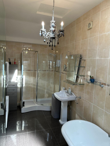 Bathroom 4, Gracefield, Dublin